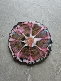 Velvet Alchemy: Celestial Resin Coasters 3